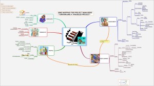 michelle-barbara-turnaround-a-troubled-project