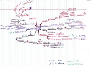 Danielle Meirick - Idea Map of Her Genetics Notes