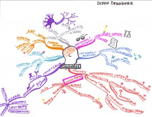 Denna Downhour - Idea Map or Mind Map of Psychology Studies
