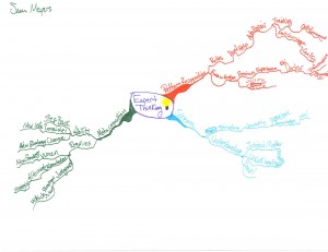 Sam Meyers - Idea Map or Mind Map of Expert Thinking