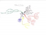 William Montoya Idea Map or Mind Map