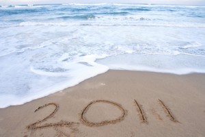 New Year 2011 - dreamstime_14743332