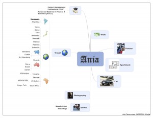 Ania Plawinska - Idea Map or Mind Map of Her Future